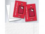 PAPEL RECAMBIO FOLIO 3mm 80 HOJAS 4 TALADROS    005837