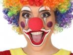 NARIZ DE PAYASO 5cm