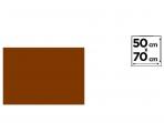 CARTULINA 50x70cm 180 Gramos MARRON 25 Unidades      