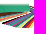CARTULINA 50x65cm 180 Gramos ROSA FUCSIA 25 Unidades (5){