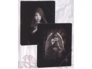 CARPETA CLASIFICADORA CARTON ANNE STOCKE FOLIO  SURTIDO A ELEGIR 1 