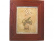 CUADRO PARALELO 20x25cm            