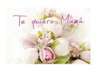 TARJETA 6,5x9cm TE QUIERO MAMA