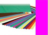 CARTULINA 50x65cm 180 Gramos ROSA FUCSIA 25 Unidades (5){