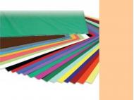 CARTULINA 50x65cm 180 Gramos SEPIA 25 Unidades (5){      