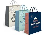 BOLSA PAPEL REGALO PAPA 23x18x10cm  SURTIDO A ELEGIR 1      