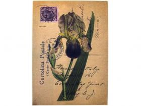 CUADRO LIENZO 30x40cm ORQUIDEA*10#*     