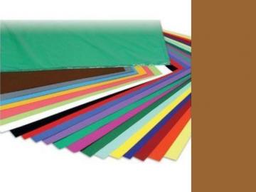 CARTULINA 50x65cm 180 Gramos MARRON 25 Unidades  